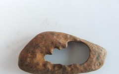 �����Ļ��о����Ĺݲ�