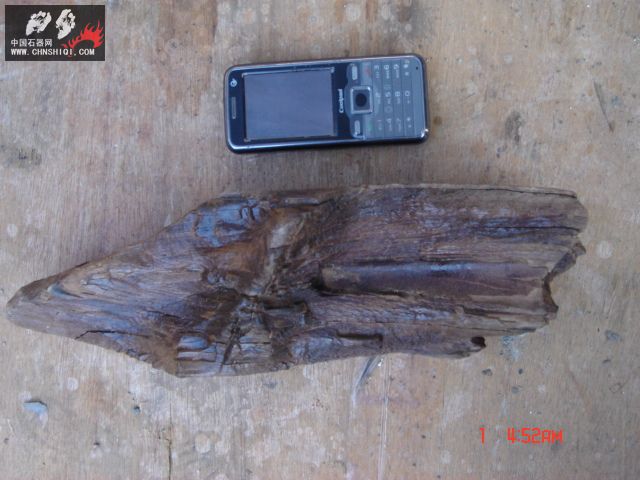 DSC01853.JPG