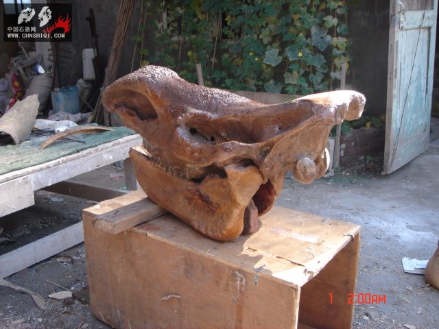 DSC01818.JPG