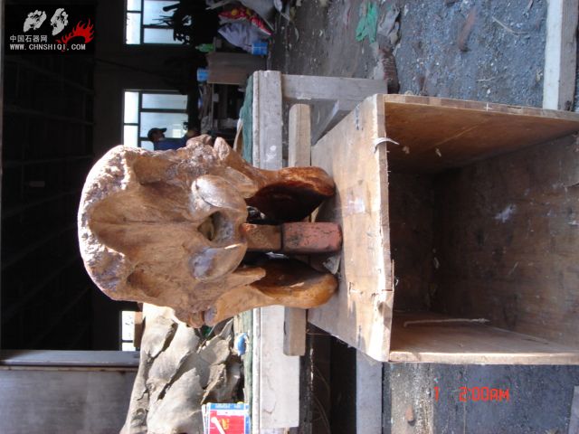 DSC01819.JPG