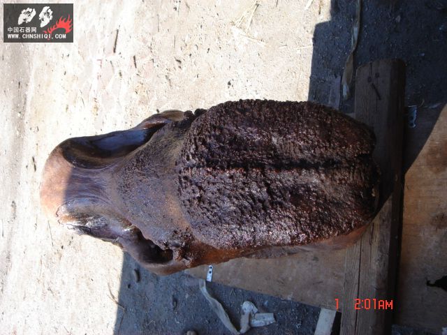 DSC01823.JPG