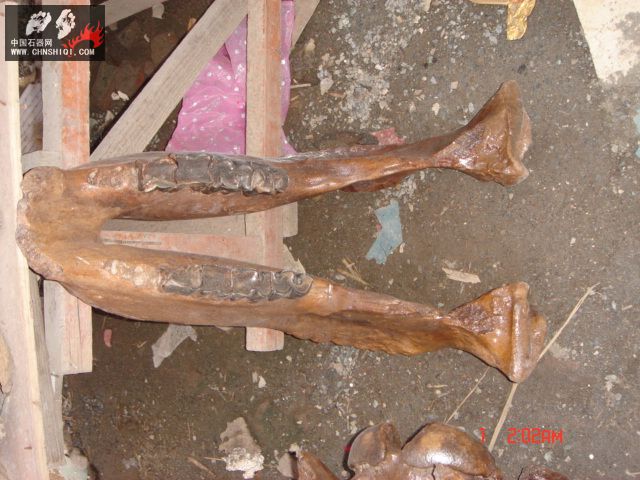 DSC01826.JPG