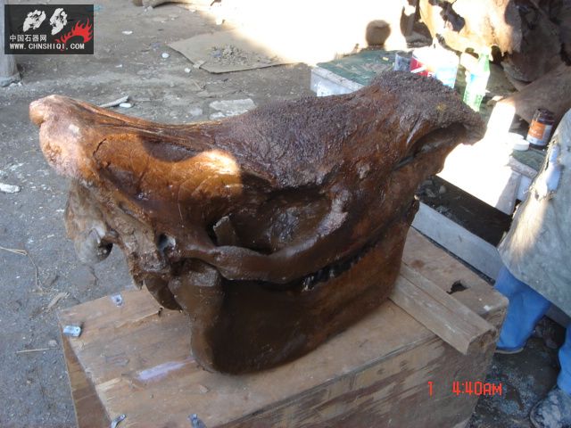 DSC01839.JPG