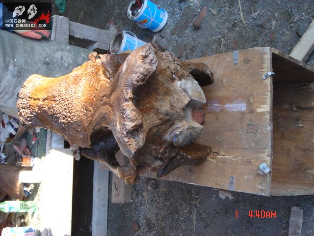 DSC01841.JPG