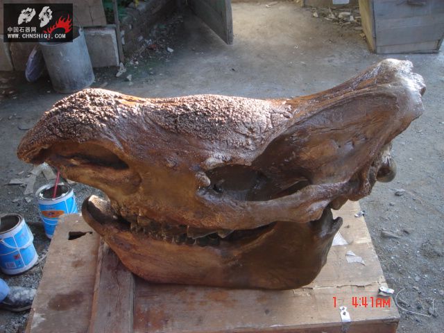 DSC01842.JPG