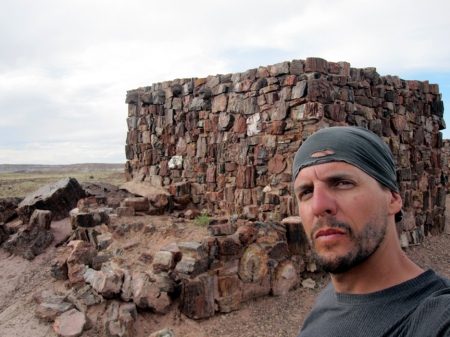 made out of Petrified wood.jpg