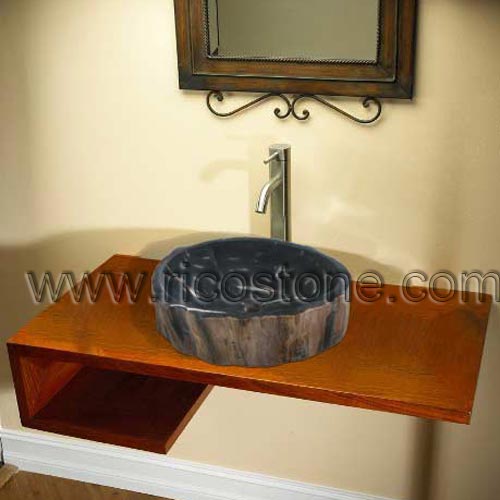 Fossil-wood-sink-.jpg