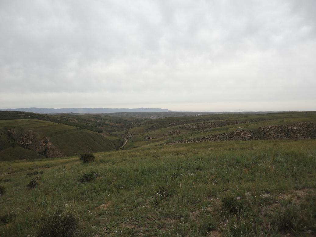 DSC02872.JPG