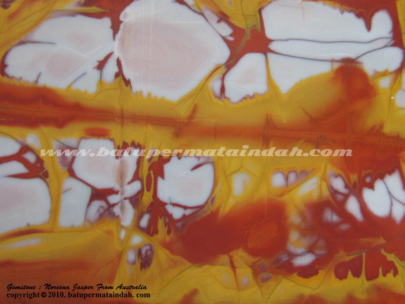 Foto Noreena Jasper Dijual 1.jpg