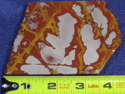 Noreena Jasper (Austraila) $14.JPG