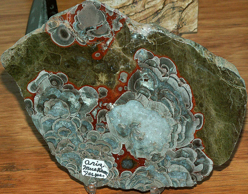 Mushroom Jasper#2 Alizona.jpg