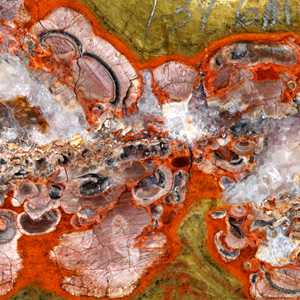 Mushroom Jasper.jpg