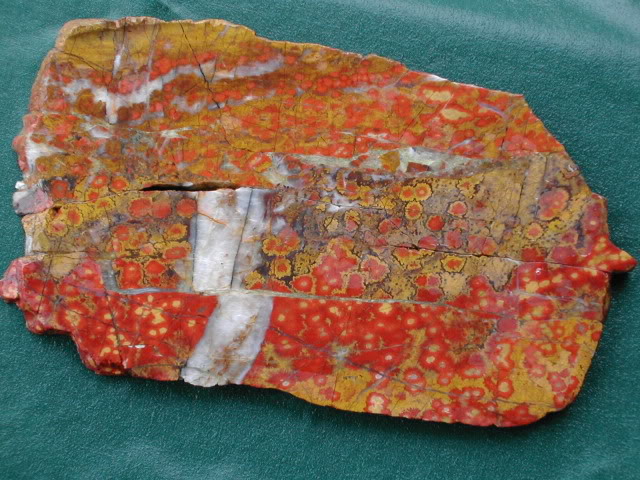 Indian Valley Poppy Jaspe.jpg