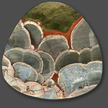 MushroomJasper3.jpg