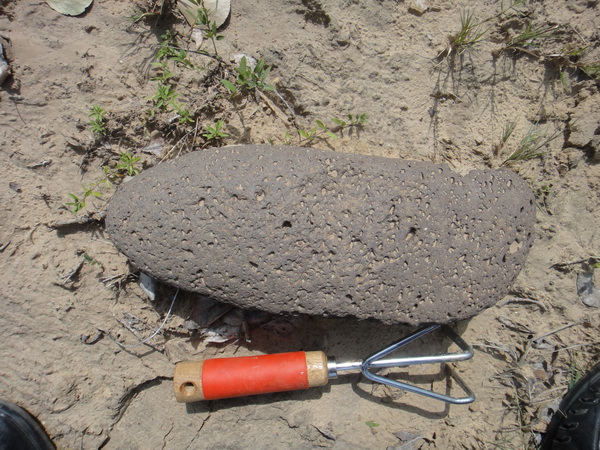DSC01709_调整大小.JPG