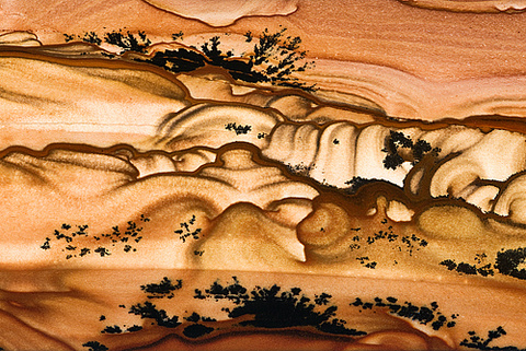 Biggs Picture Jasper, OR RA12.jpg