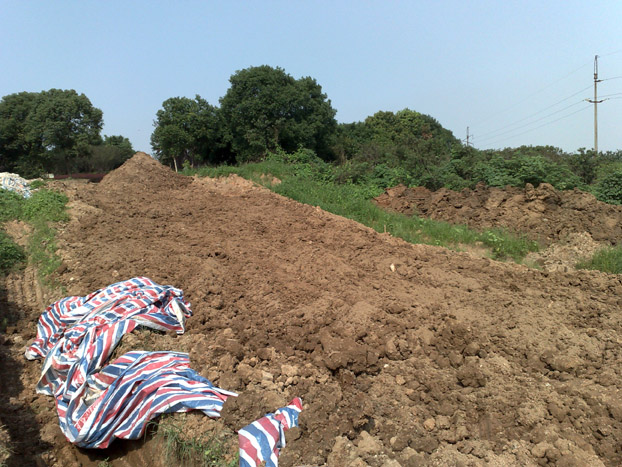 20110903322.jpg