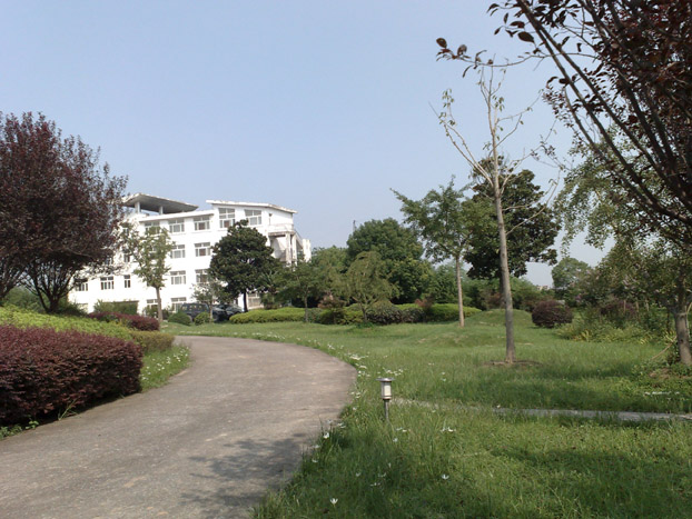 20110903325.jpg