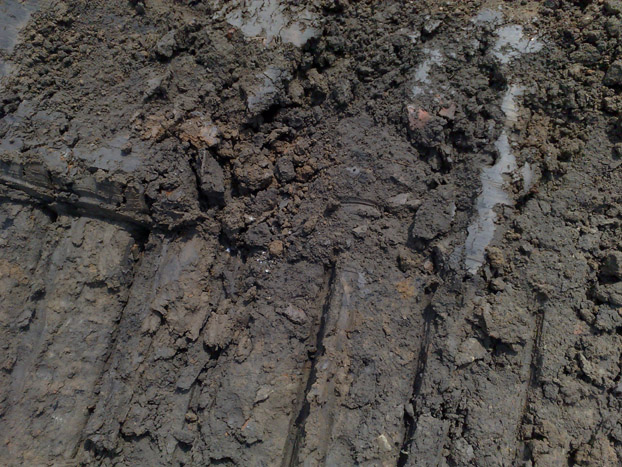 20110903337.jpg