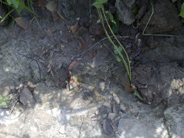 20110903340.jpg