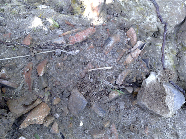 20110903341.jpg