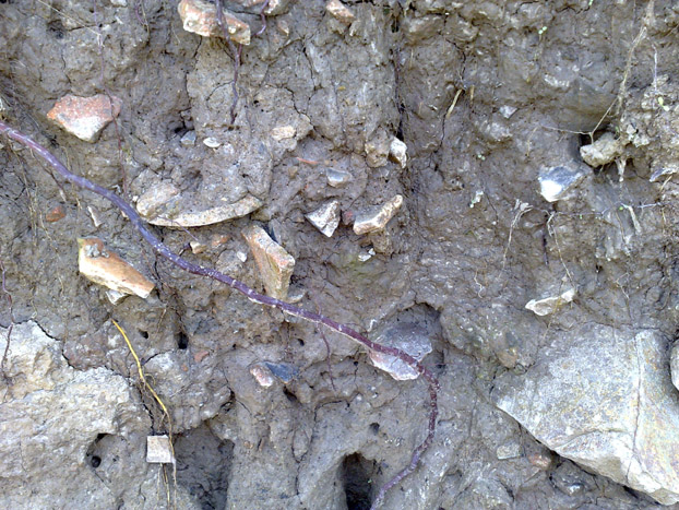 20110903345.jpg