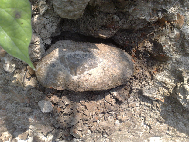 20110903352.jpg