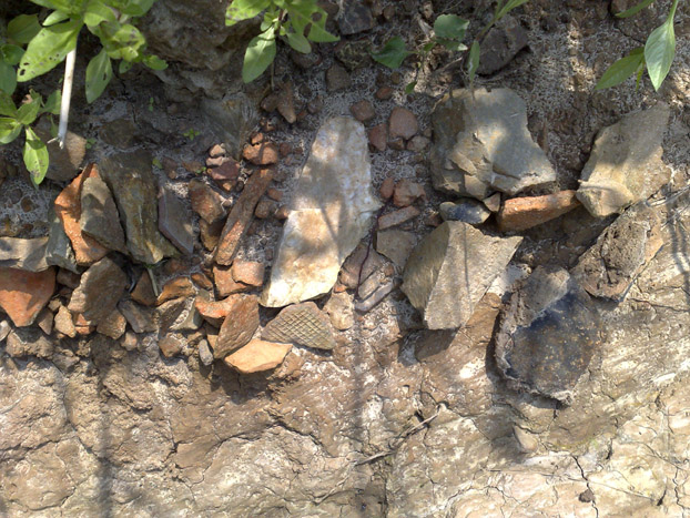 20110903355.jpg