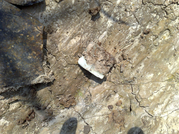 20110903359.jpg