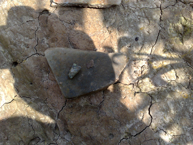 20110903362.jpg