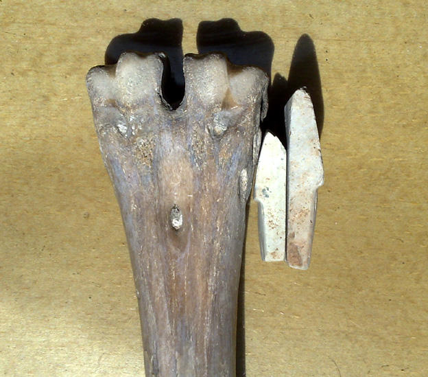 20110921440.jpg