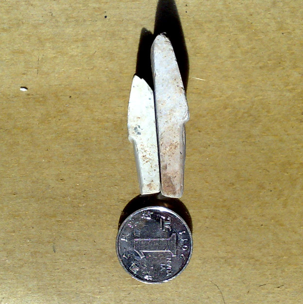 20110921441.jpg