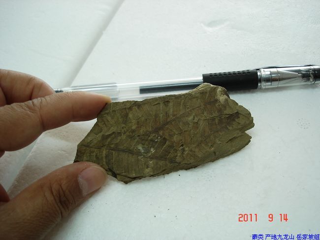 DSC00073.JPG