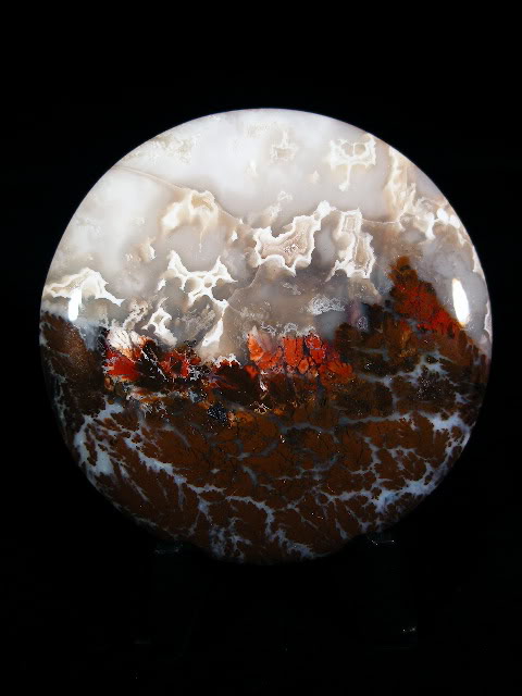 Hampton Butte Plumes in Limb Cast.jpg