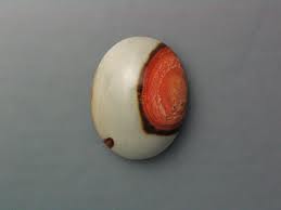 Polychrome Jasper 2- Madagascar.jpg