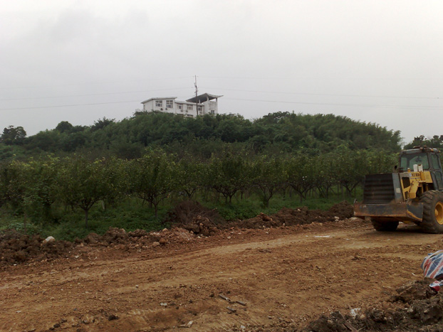 20110910364.jpg