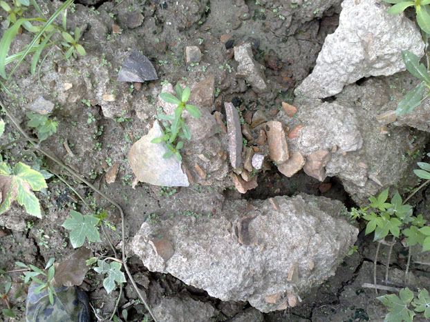 20110910367.jpg
