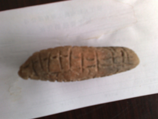 20110910376.jpg