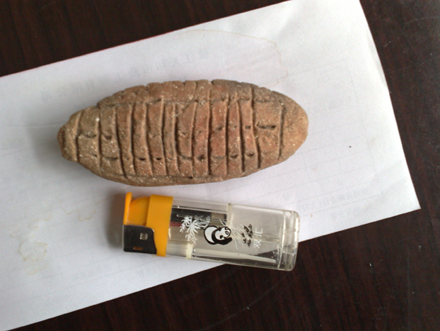 20110910378.jpg