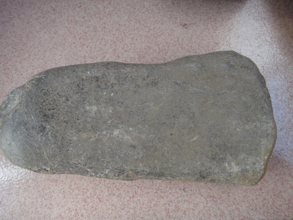 DSC01810_调整大小.JPG