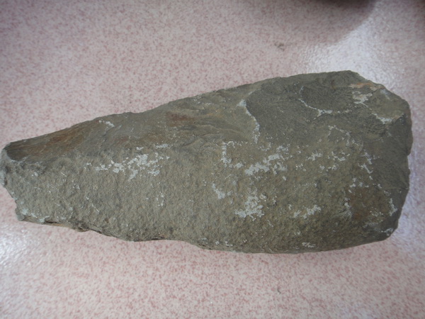 DSC01811_调整大小.JPG