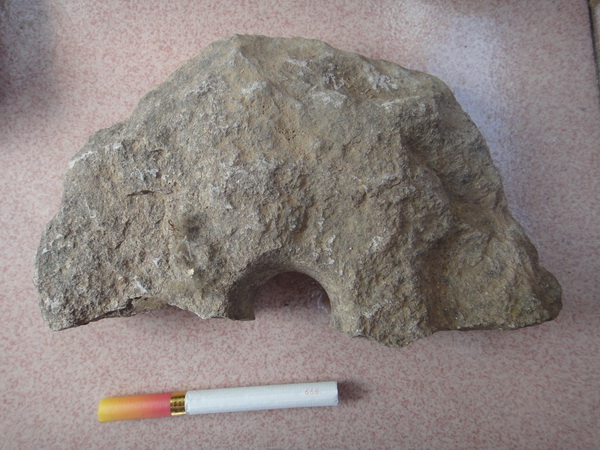 DSC01817_调整大小.JPG