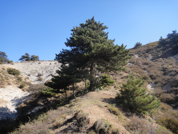 DSC01799_调整大小.JPG