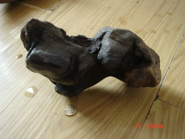 DSC02047.JPG