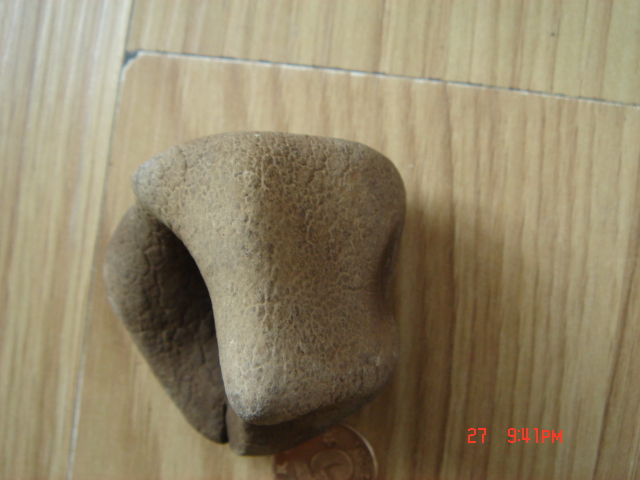 DSC02059.JPG