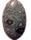 Kambaba Jasper Kambaba jasper is a  sedimentary stone found in South Africa and .jpg