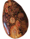 Leopardskin Jasper.jpg