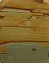 Picture Jasper A jasper gemstone that contains a combination of petrified mud in.jpg