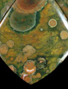 Rainforest Jasper (Rhyolite).jpg