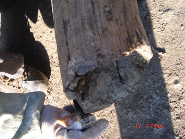 DSC02200.JPG